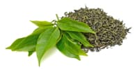 Green Tea Extract 